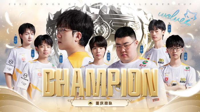 教练在场边